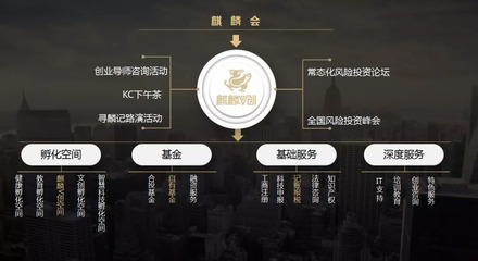 麒麟V創 構建天使投資生態，賦能創業服務新高度